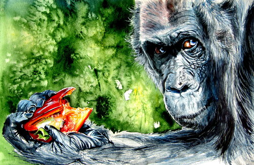 Chimpanzee eating von Anna Brigitta Kovacs, Malerei kaufen auf Singulart