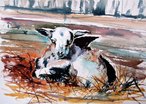 Baby goat van Anna Brigitta Kovacs, Schilderij te koop op Singulart