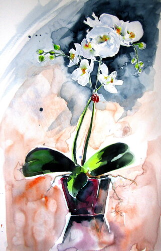 Orchid still life von Anna Brigitta Kovacs, Malerei kaufen auf Singulart