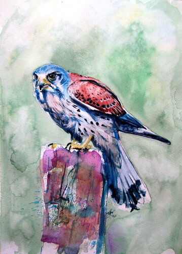 Kestrel by Anna Brigitta Kovacs, Painting for Sale on Singulart