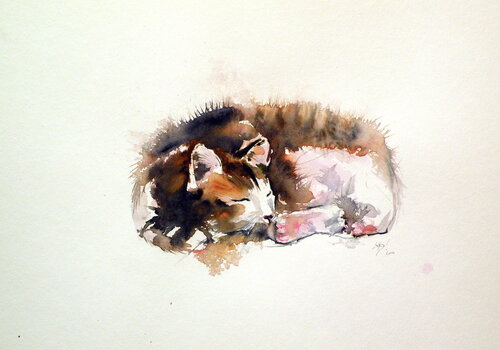 Sleeping cat par Anna Brigitta Kovacs, Peinture en vente sur Singulart