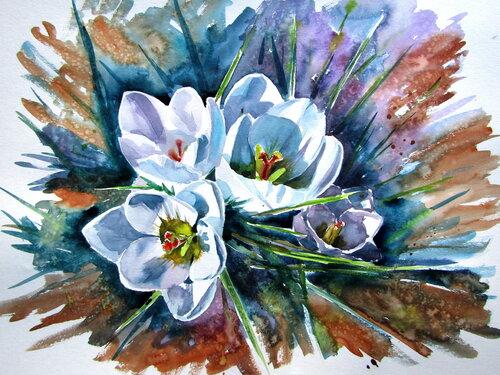 White crocus Anna Brigitta Kovacs