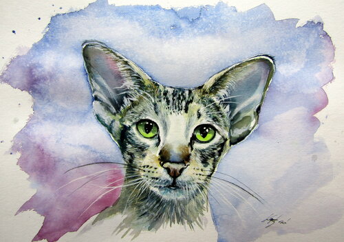 Siamese oriental cat von Anna Brigitta Kovacs, Malerei kaufen auf Singulart