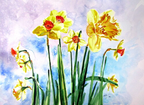 Narcissus flower Anna Brigitta Kovacs