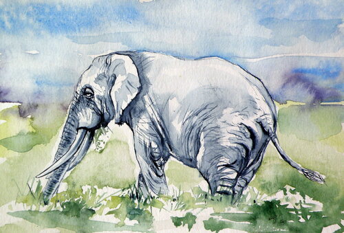 Eating elephant van Anna Brigitta Kovacs, Schilderij te koop op Singulart