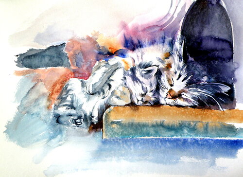 Sleeping cats by Anna Brigitta Kovacs, Painting for Sale on Singulart