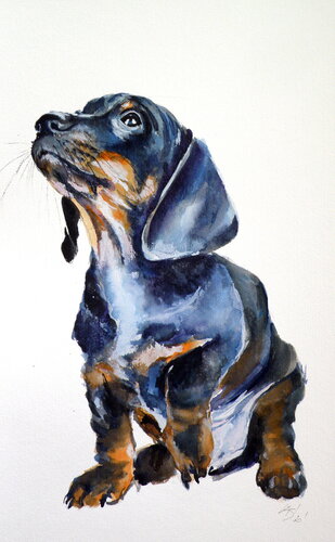 Dachshund puppy by Anna Brigitta Kovacs, Painting for Sale on Singulart