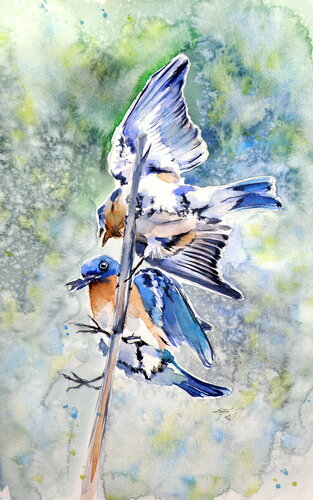 Birds fighting by Anna Brigitta Kovacs, Painting for Sale on Singulart