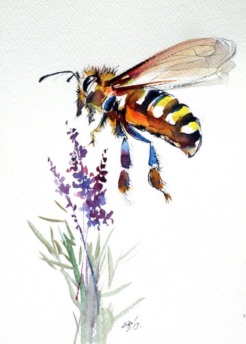 Bee with lavender von Anna Brigitta Kovacs, Malerei kaufen auf Singulart