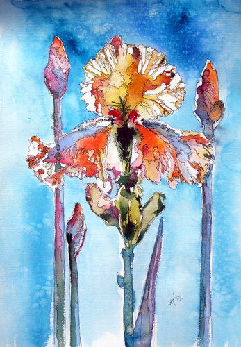 Lily from my garden di Anna Brigitta Kovacs, Pittura in vendita su Singulart