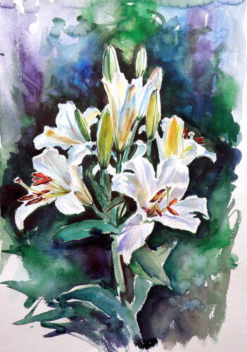Lily from my garden II van Anna Brigitta Kovacs, Schilderij te koop op Singulart