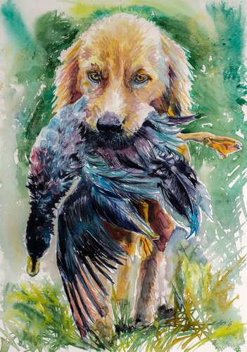 Dog with mallard von Anna Brigitta Kovacs, Malerei kaufen auf Singulart