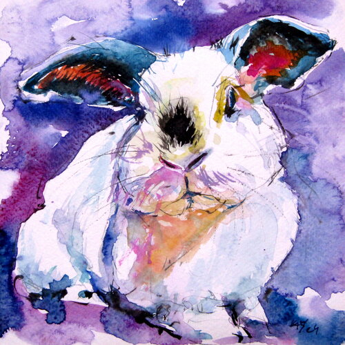 Cute rabbit III van Anna Brigitta Kovacs, Schilderij te koop op Singulart