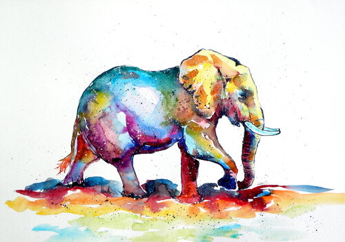 Colorful elephant V van Anna Brigitta Kovacs, Schilderij te koop op Singulart