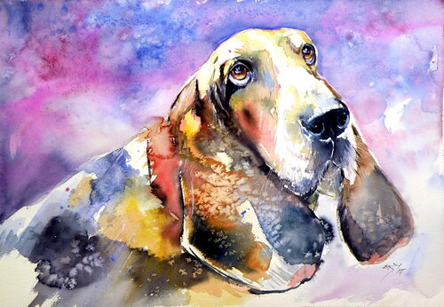 Cute basset hound von Anna Brigitta Kovacs, Malerei kaufen auf Singulart