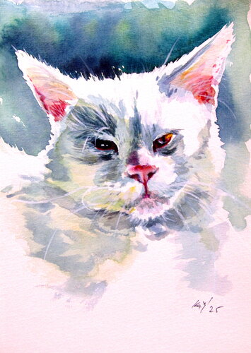 Wite cat von Anna Brigitta Kovacs, Malerei kaufen auf Singulart