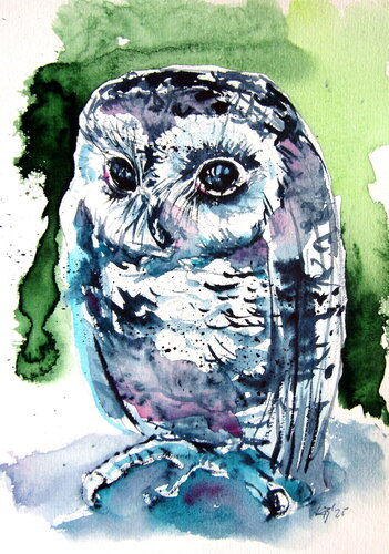 Cute baby owl van Anna Brigitta Kovacs, Schilderij te koop op Singulart