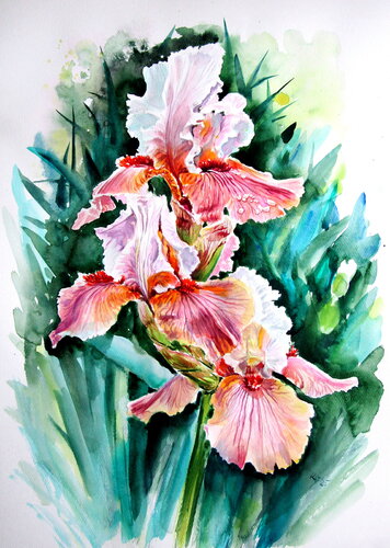 Iris II von Anna Brigitta Kovacs, Malerei kaufen auf Singulart