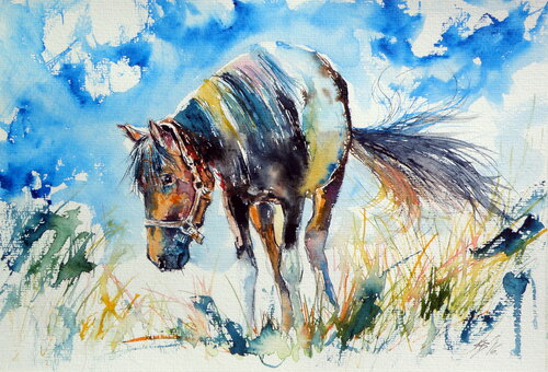 Horse van Anna Brigitta Kovacs, Schilderij te koop op Singulart