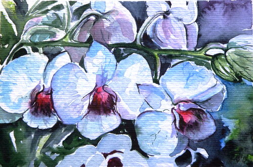 Orchid by Anna Brigitta Kovacs, Painting for Sale on Singulart