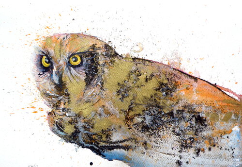 Owl in gold van Anna Brigitta Kovacs, Schilderij te koop op Singulart