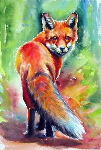 Red fox III von Anna Brigitta Kovacs, Malerei kaufen auf Singulart