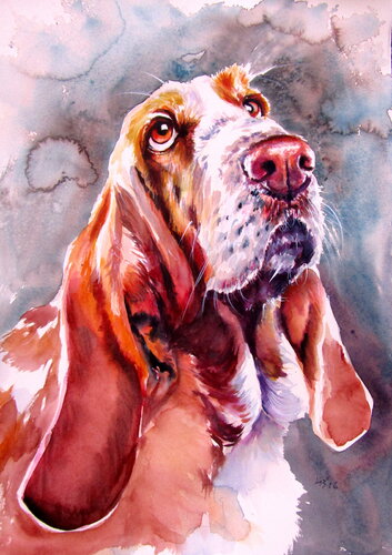 Basset hound by Anna Brigitta Kovacs, Painting for Sale on Singulart