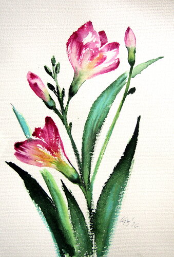 Fresia par Anna Brigitta Kovacs, Peinture en vente sur Singulart