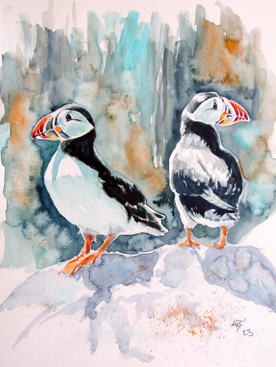 Puffins Anna Brigitta Kovacs