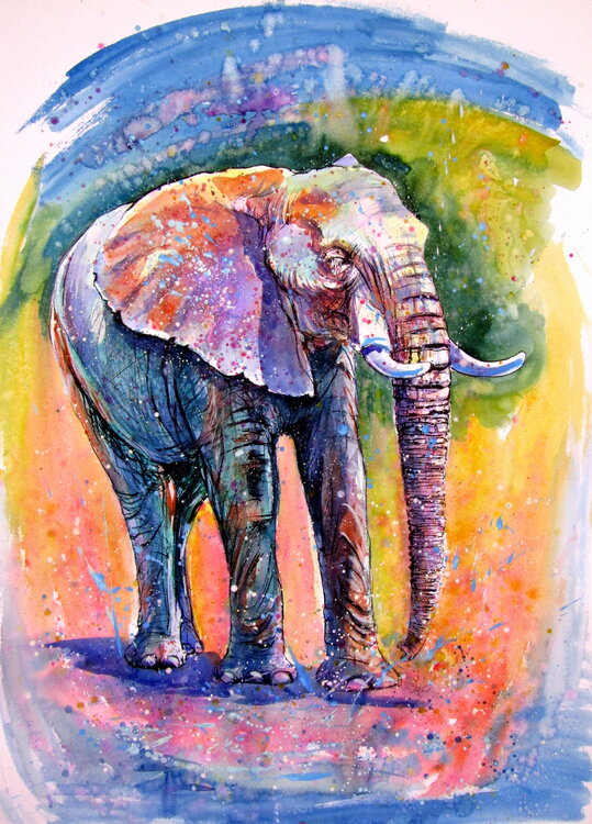 Elephant by the water Anna Brigitta Kovacs
