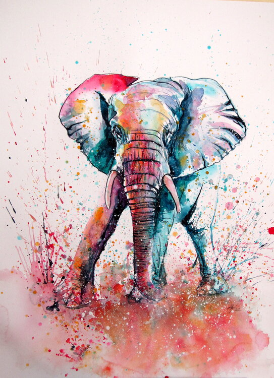Playful elephant II Anna Brigitta Kovacs