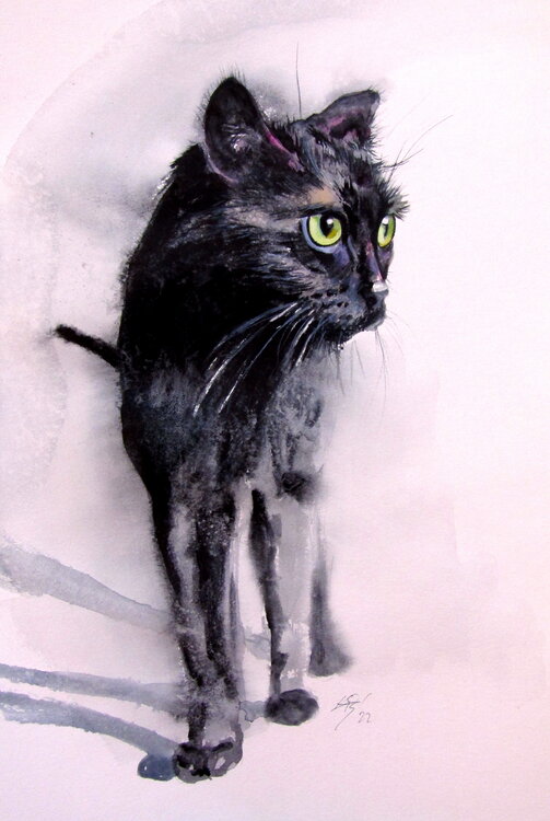Black cat Anna Brigitta Kovacs