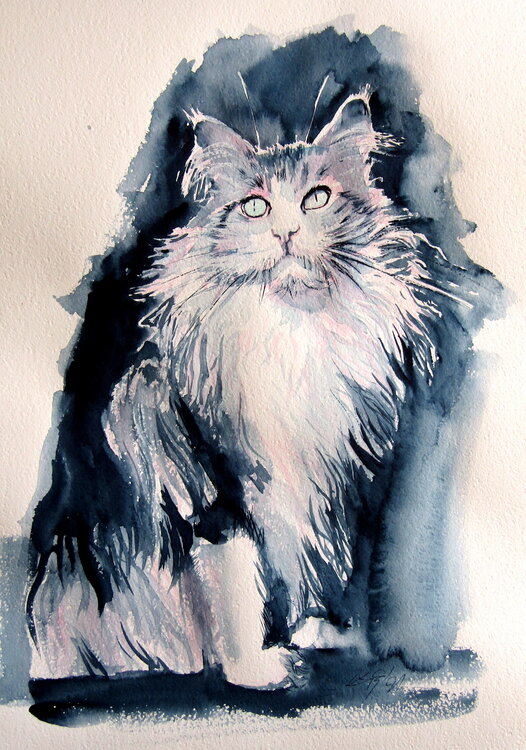 Sitting cat Anna Brigitta Kovacs