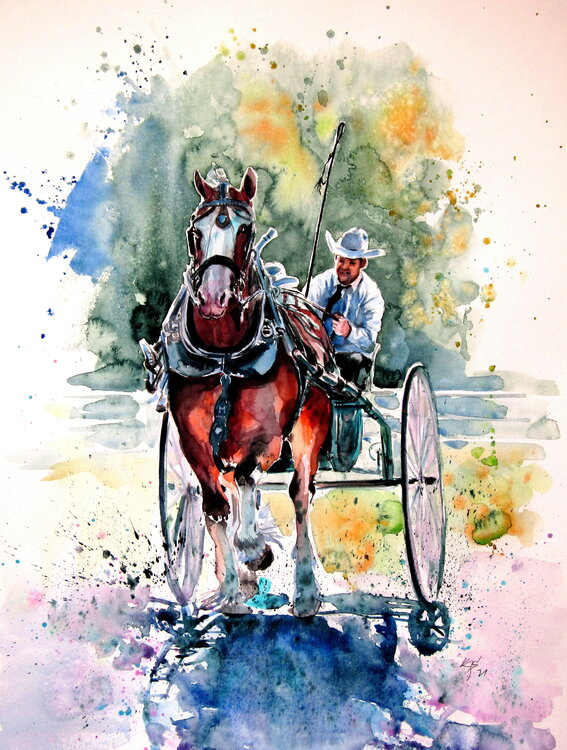 Horse race Anna Brigitta Kovacs