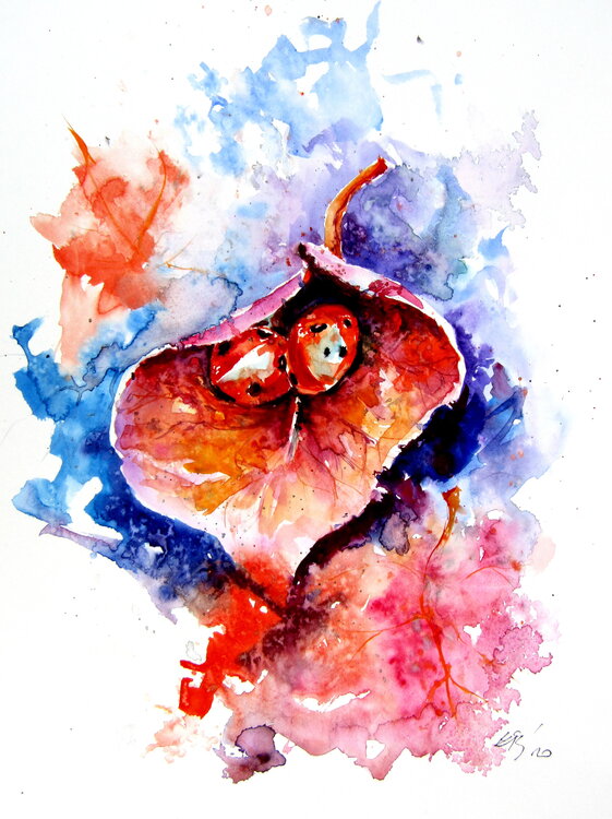 Ladybugs Anna Brigitta Kovacs