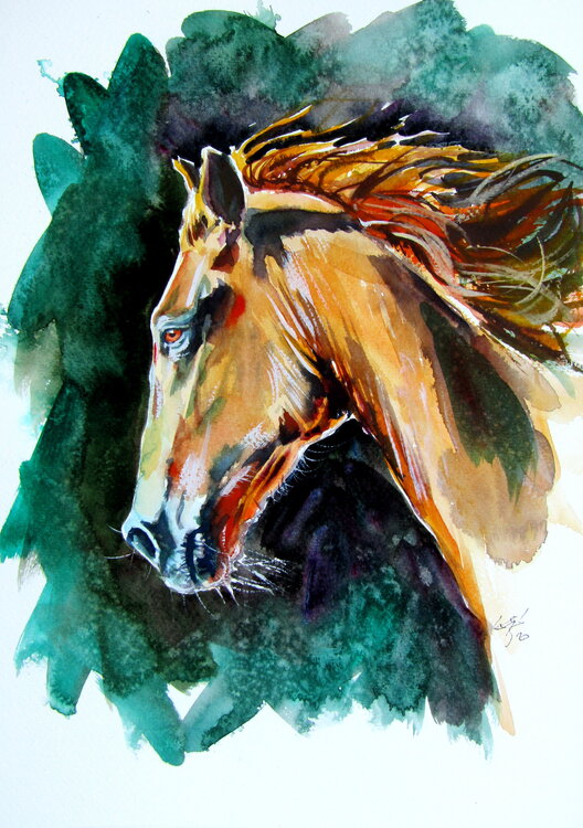 Majestic horse Anna Brigitta Kovacs