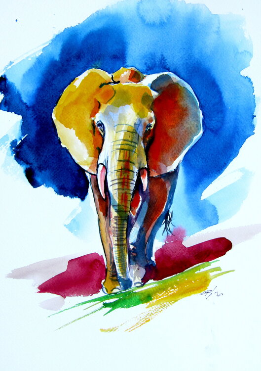 Majestic elephant at night Anna Brigitta Kovacs