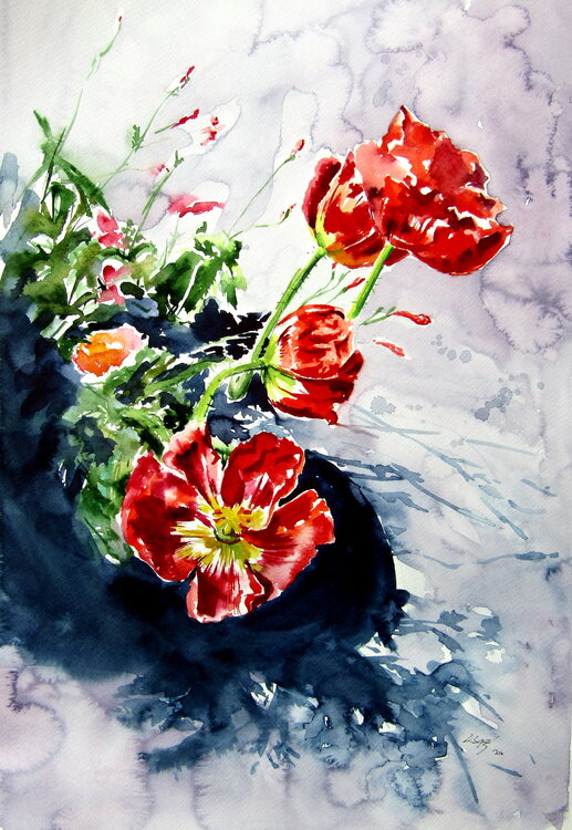Red poppies in garden Anna Brigitta Kovacs