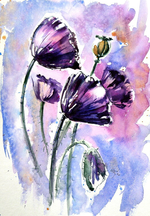 Purple poppies Anna Brigitta Kovacs
