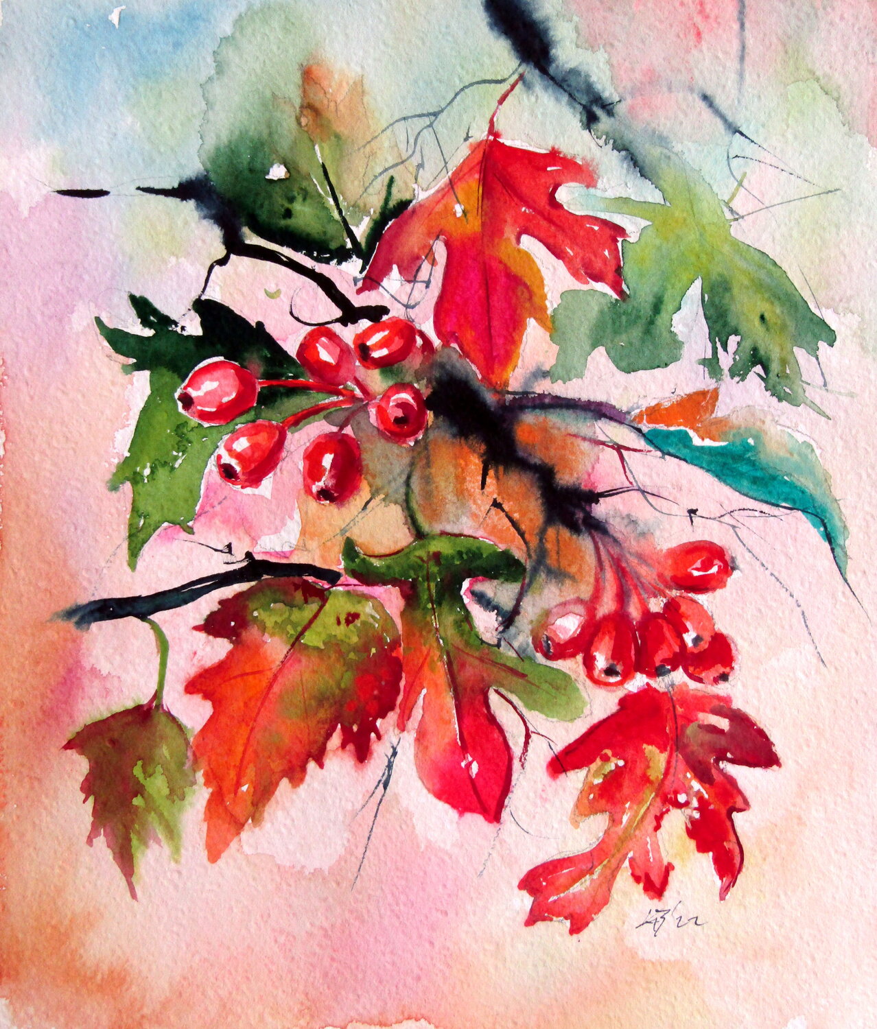 Hawthorn Anna Brigitta Kovacs