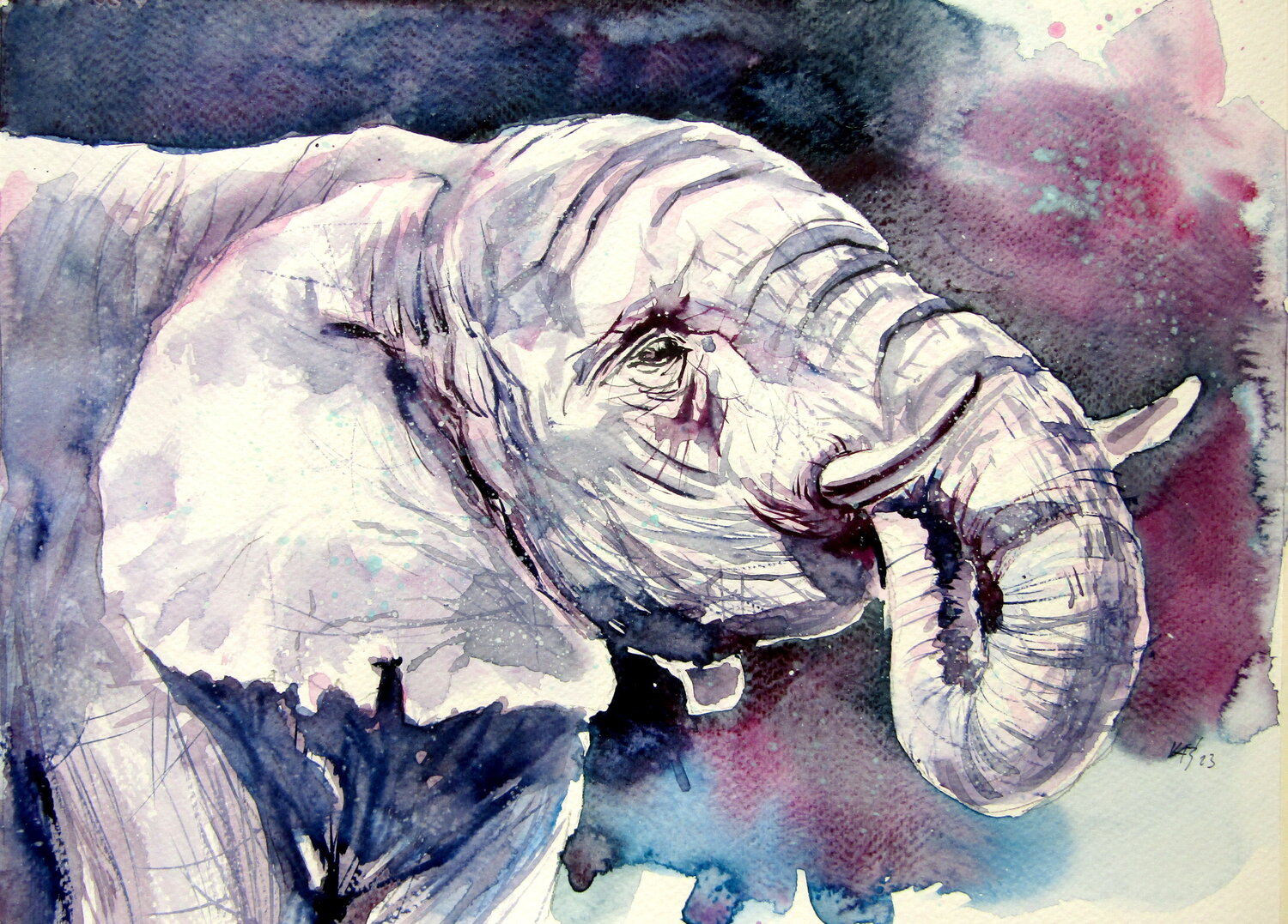 Eating elephant Anna Brigitta Kovacs