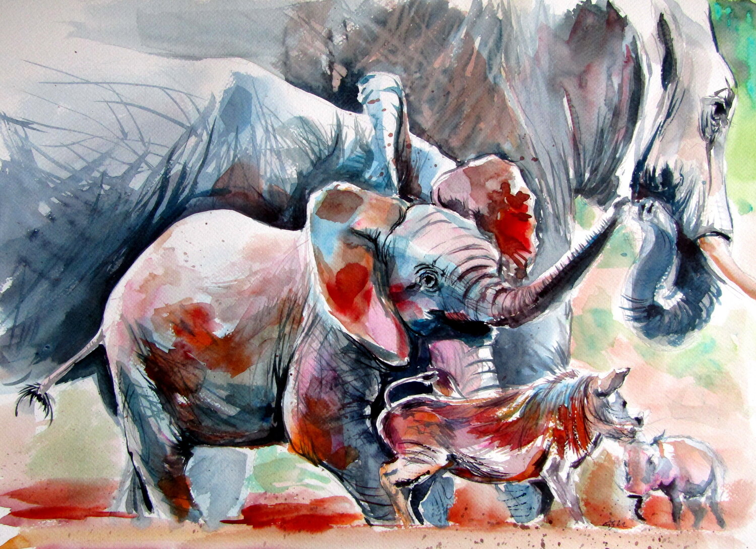 Elephant baby playing Anna Brigitta Kovacs