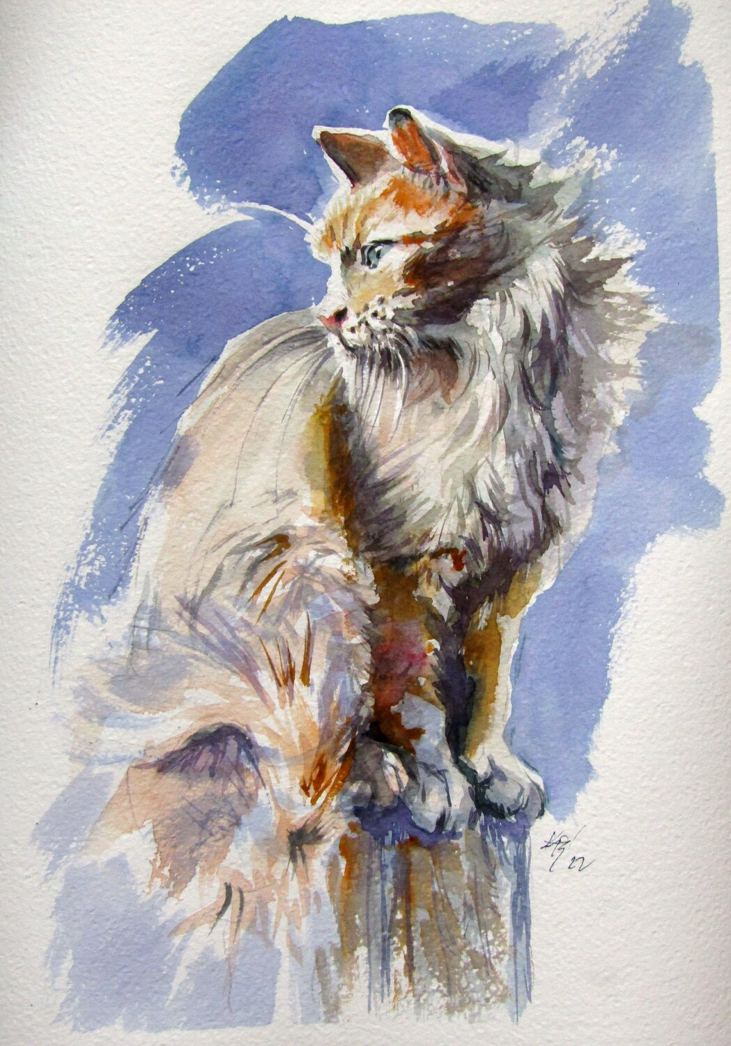 Sitting cat Anna Brigitta Kovacs