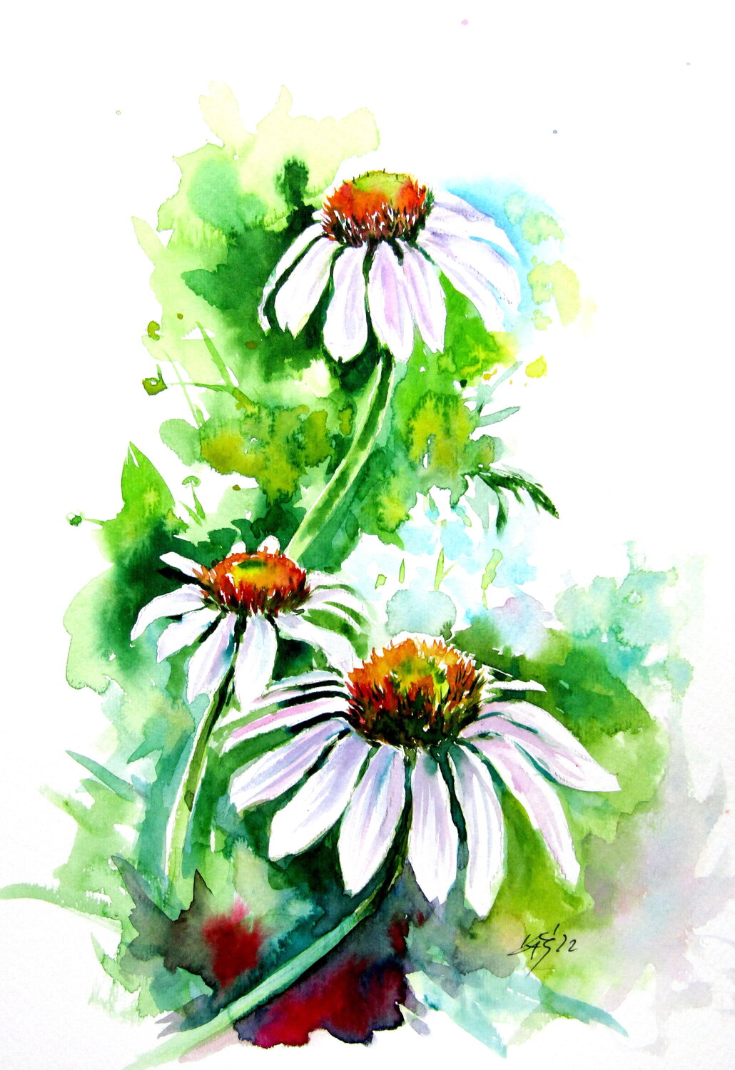 Flowers of summer Anna Brigitta Kovacs