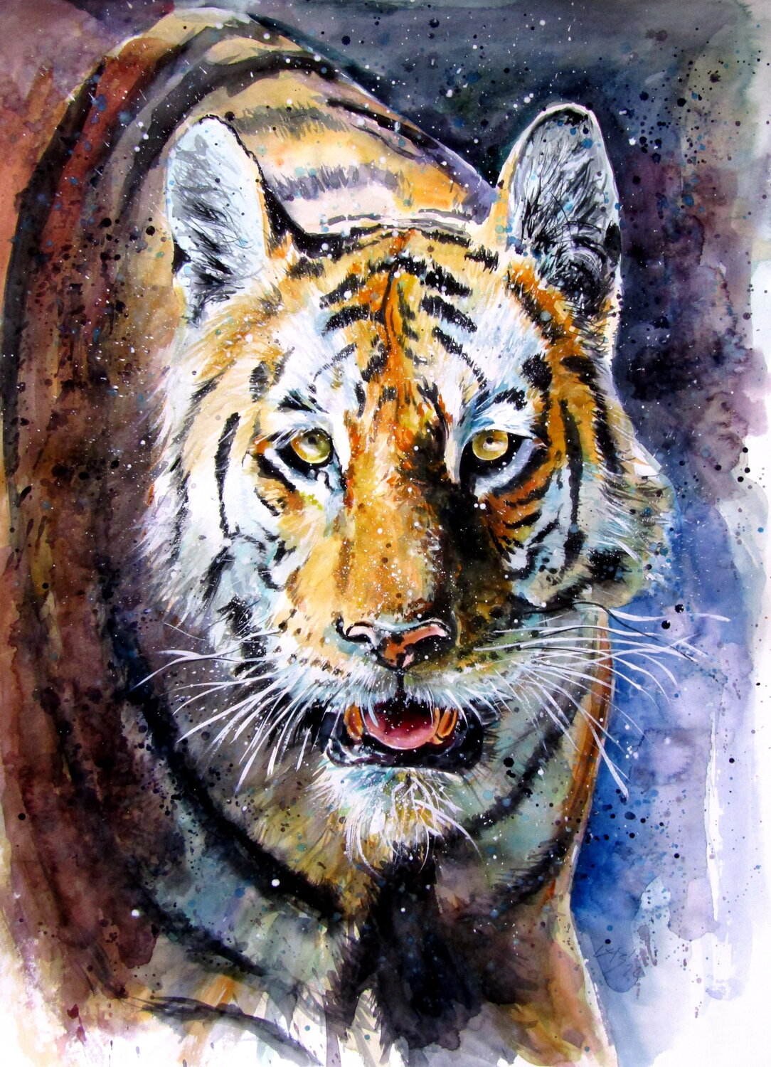 Collarwali Mataram tiger III Anna Brigitta Kovacs