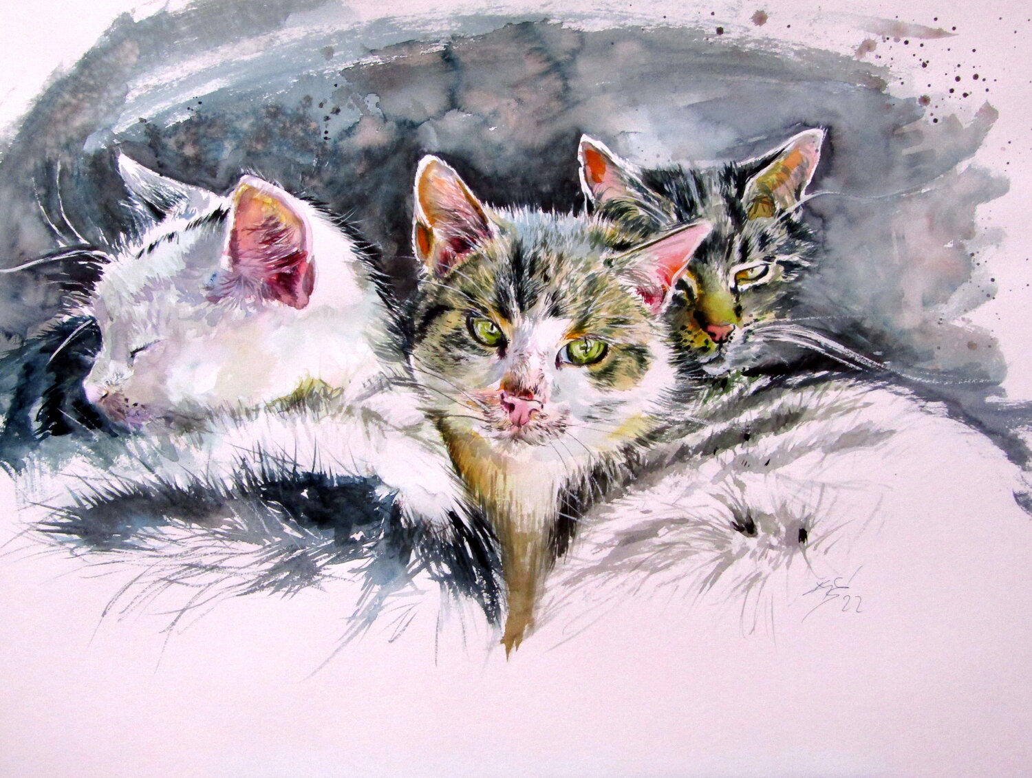 Our cats Anna Brigitta Kovacs