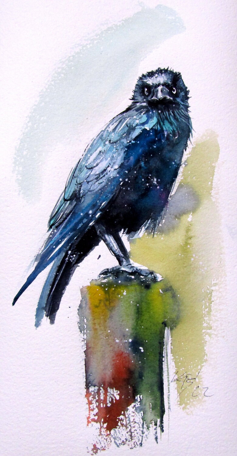 Crow Anna Brigitta Kovacs