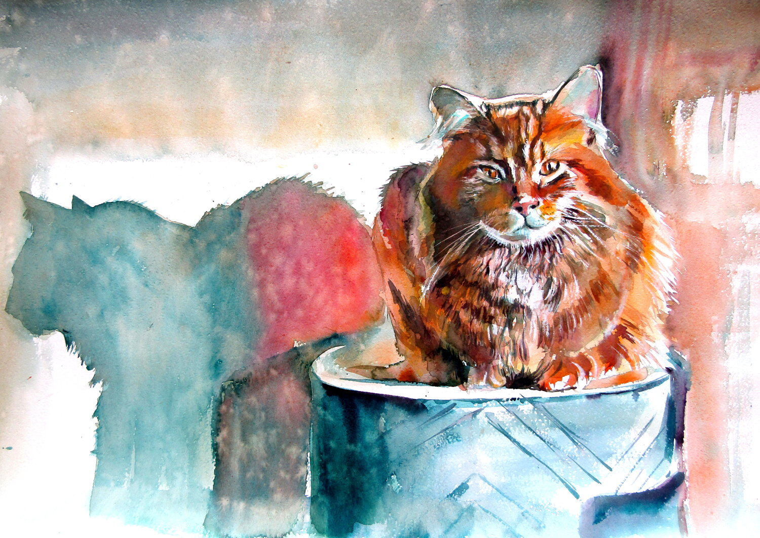 Cat resting at light Anna Brigitta Kovacs