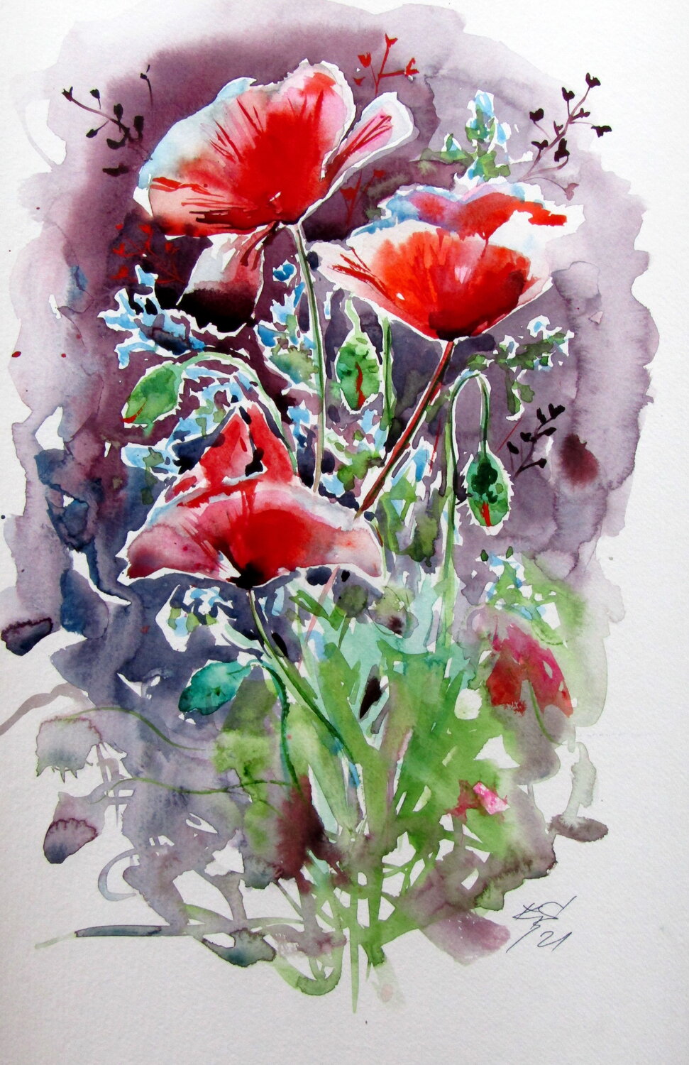 Beautiful red poppies Anna Brigitta Kovacs