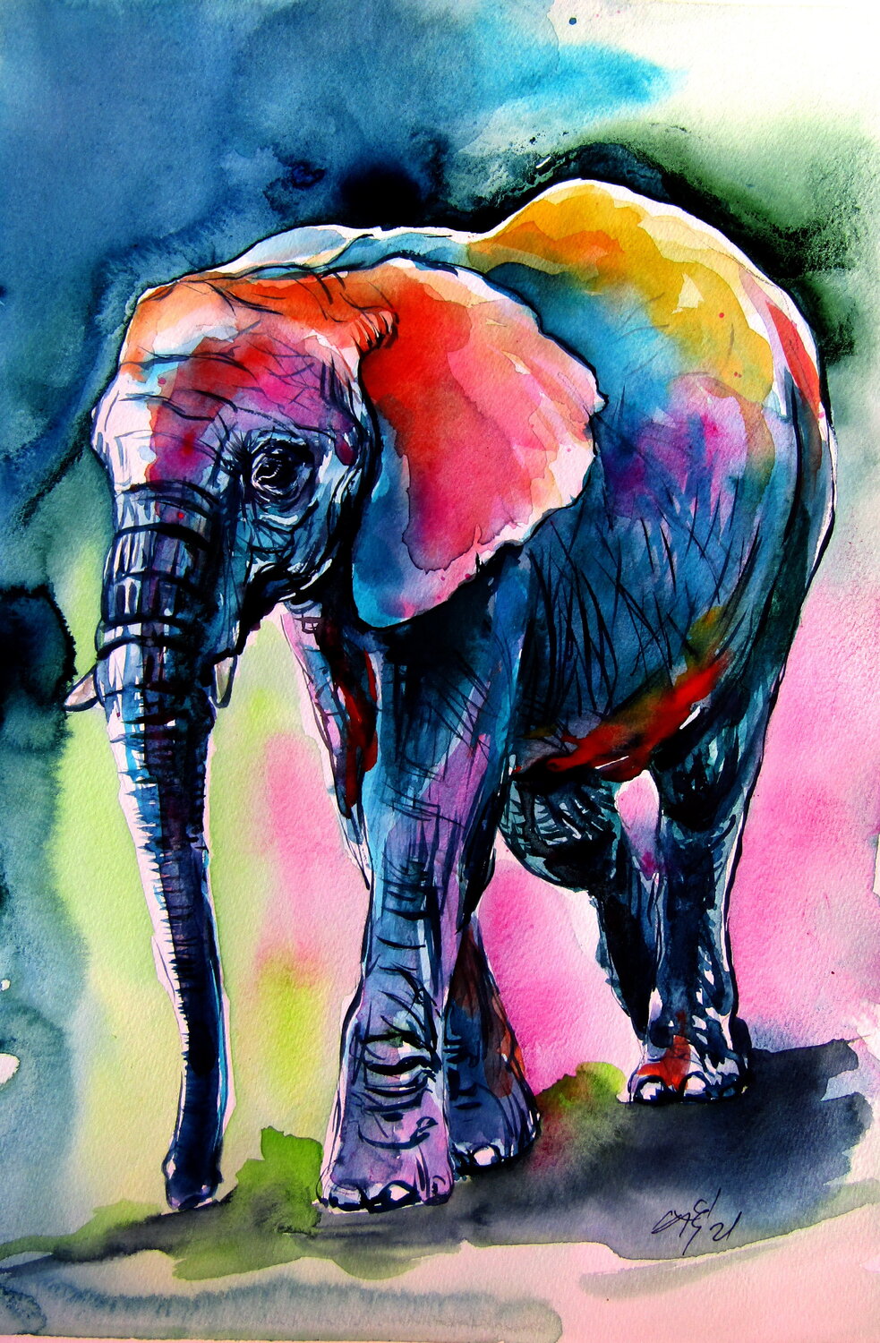 Elephant at night Anna Brigitta Kovacs